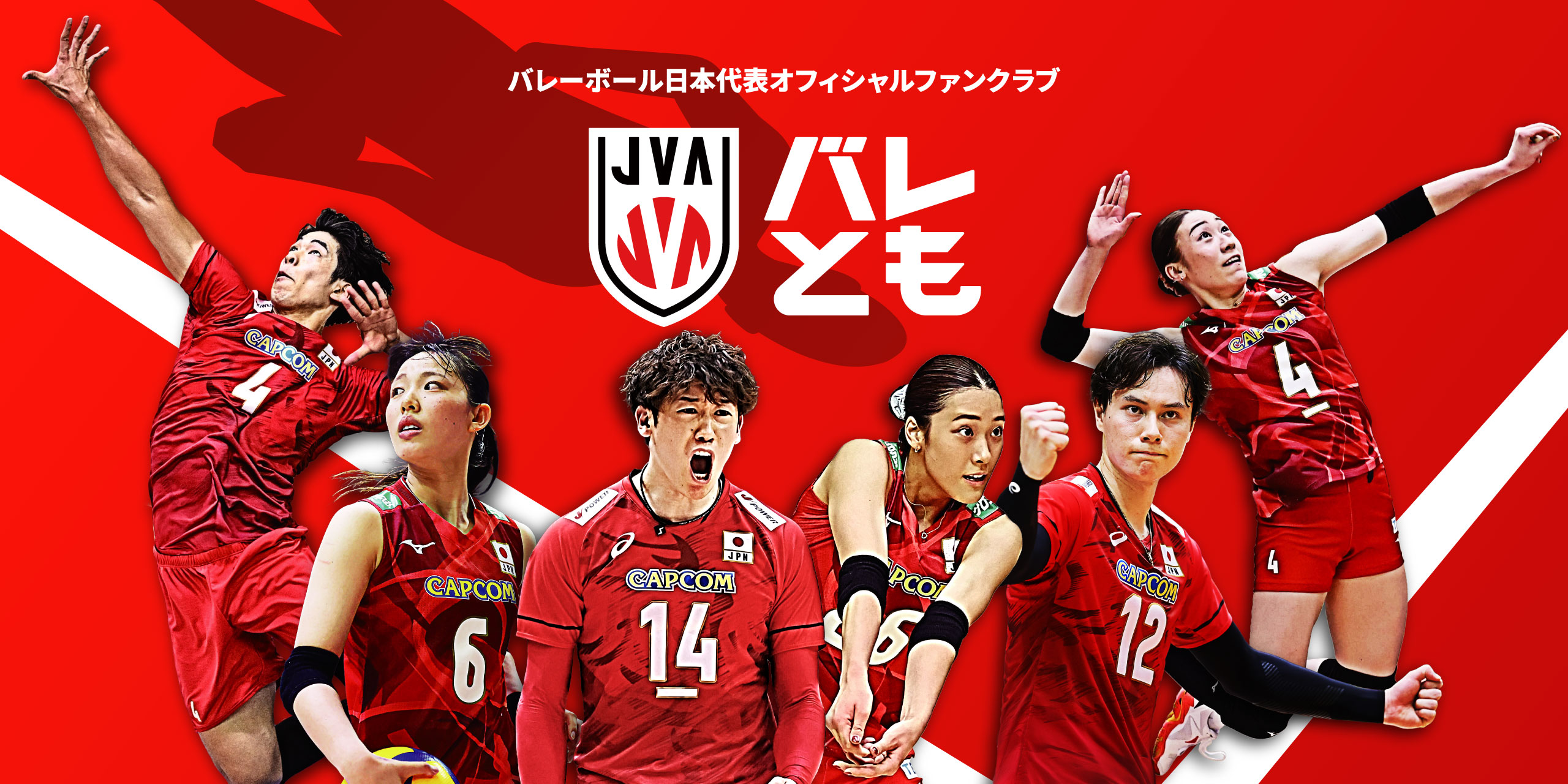日本バレーボール協会 バレーボール 公益財団法人日本バレーボール協会