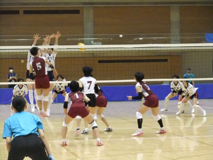 20210731-6.JPG